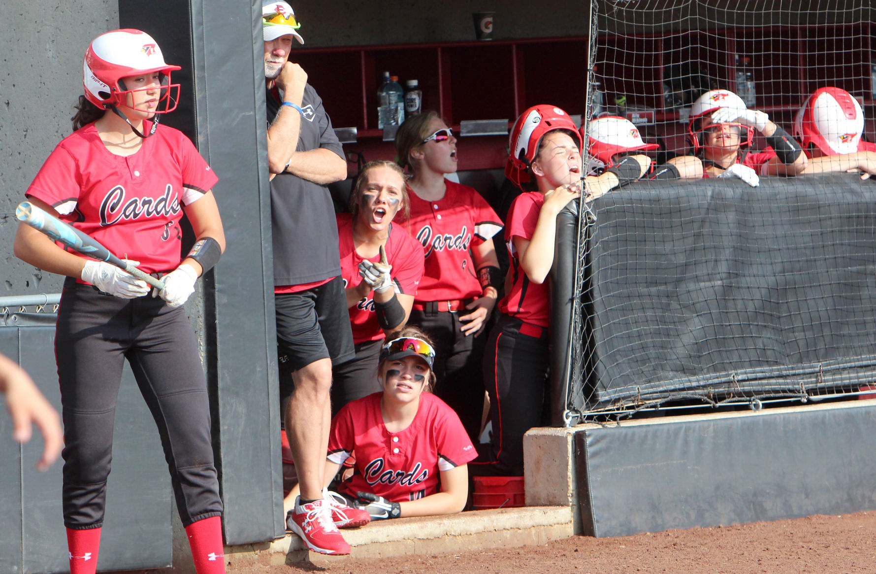 Chi-Hi softball vs Kenosha Bradford/Reuther Division 1 state quarterfinals 6-6-19